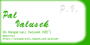 pal valusek business card